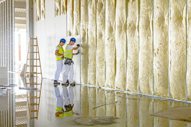 Professional Insulation Contractor in Fayetteville, GA
